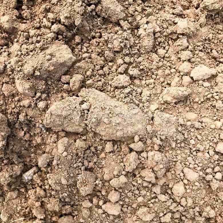 Sai Eco terra per rilevato