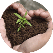 sai eco recycling terriccio