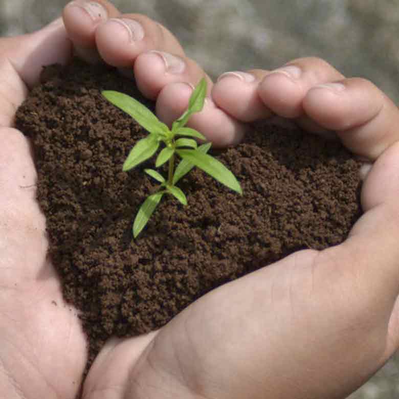terricci sai eco
